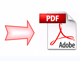 Curriculum pdf